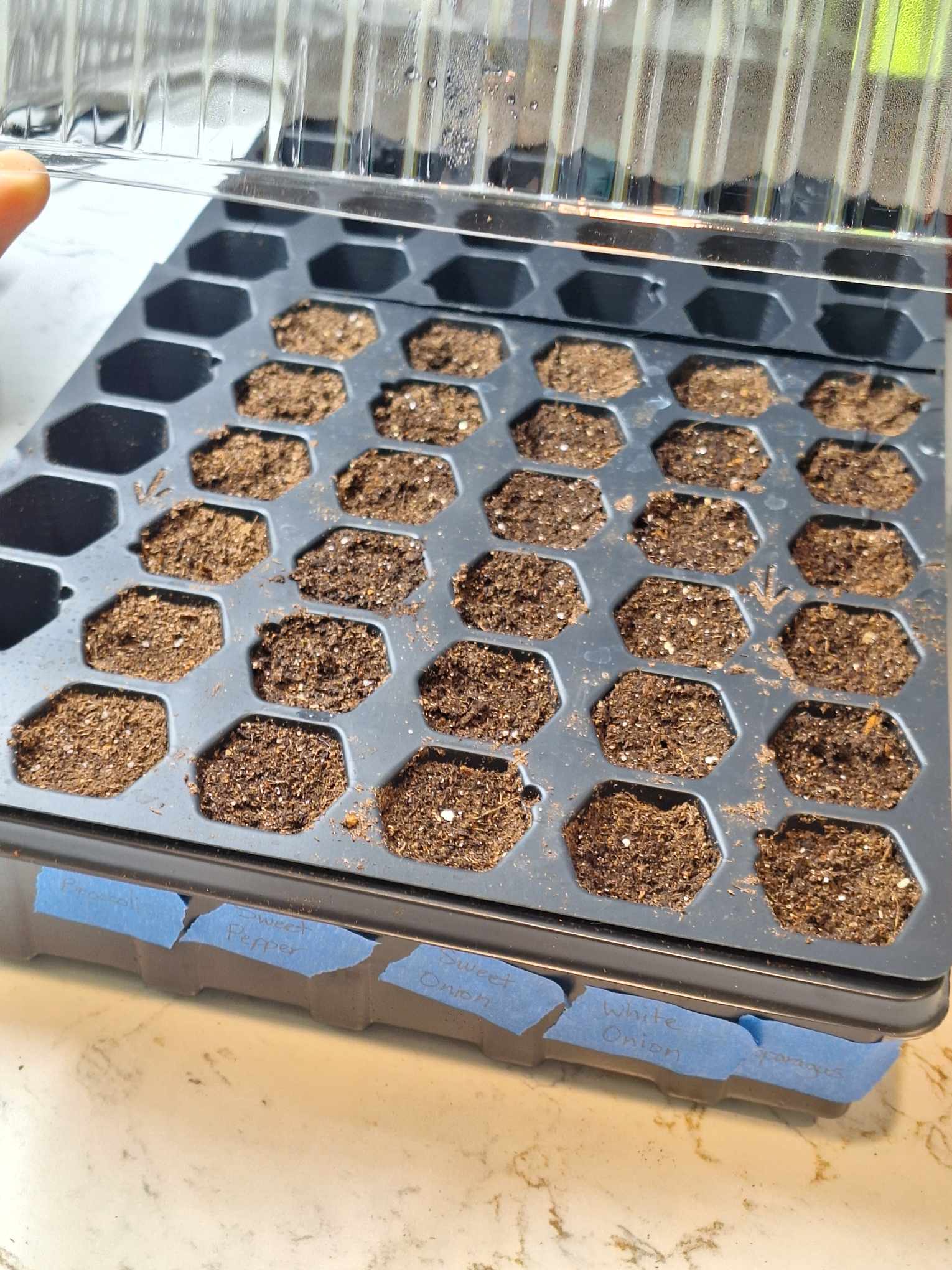 Start Seeds Indoors With Me for Spring Garden