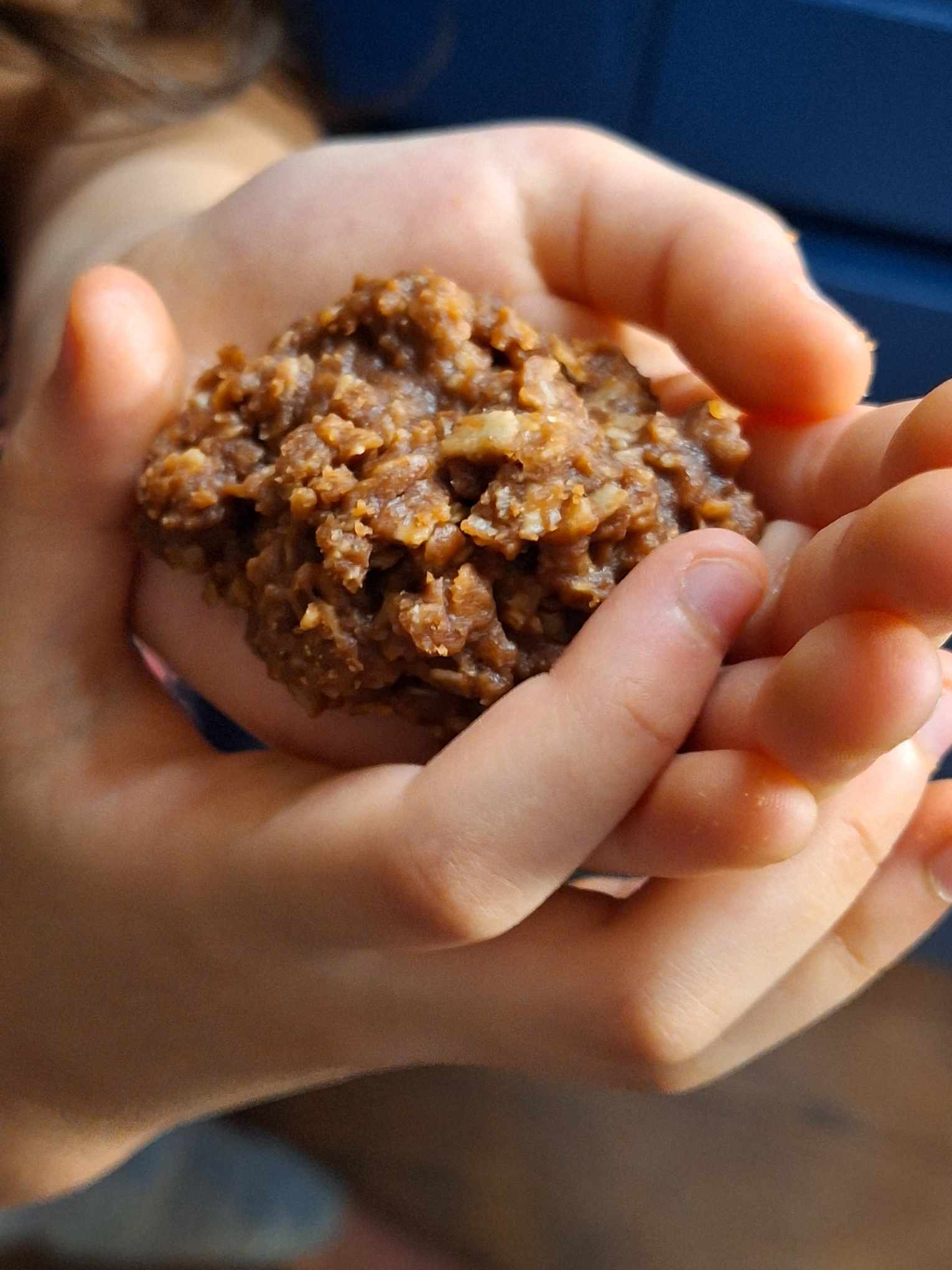 Fun Easy Home Economics Cooking No-Bake Cookies